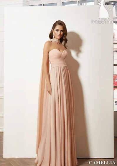 Camellia light pink chiffon maxi dress